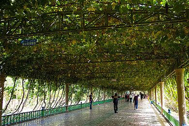 赛车策略冒险模拟游戏《一路向上》现已推出试玩Demo